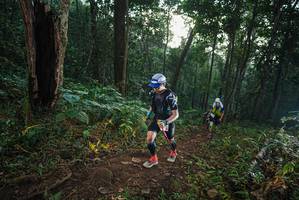 BIB: 
                            <button type="button" onclick="openModal(22432569)" class="btn btn-primary btn-sm float-right btn-popup" data-toggle="modal" data-target=".modal-high-quality">
                        <i class="fas fa-shopping-cart"></i> Add to Cart
                    </button>
                                            <button type="button" onclick="isThisMe(22432569, true)" class="btn btn-success btn-sm float-right btn-popup btn-isme hidden" data-toggle="tooltip" data-placement="bottom" title="นี่คือรูปของคุณใช่ไหม คลิกที่นี่เพื่อเอาเข้าอัลบั้ม">
                        <i class="fas fa-plus"></i> Add to album
                    </button>
                    <button type="button" onclick="isThisMe(22432569, false)" class="btn btn-warning btn-sm float-right btn-popup btn-isnotme hidden">
                        <i class="fas fa-ban"></i> Remove from album
                    </button>